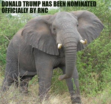 donald-trump-has-been-nominated-officially-by-rnc