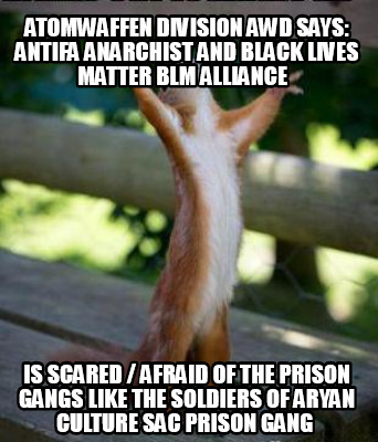 atomwaffen-division-awd-says-antifa-anarchist-and-black-lives-matter-blm-allianc84