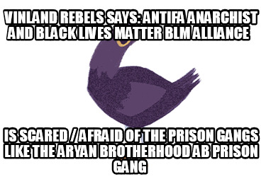 vinland-rebels-says-antifa-anarchist-and-black-lives-matter-blm-alliance-is-scar