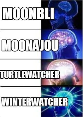 moonbli-moonajou-turtlewatcher-winterwatcher