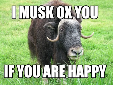 i-musk-ox-you-if-you-are-happy