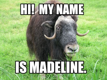 hi-my-name-is-madeline