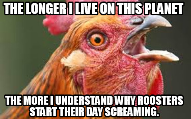 the-longer-i-live-on-this-planet-the-more-i-understand-why-roosters-start-their-