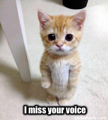 i-miss-your-voice