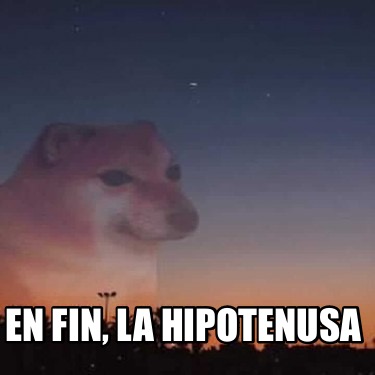 en-fin-la-hipotenusa66