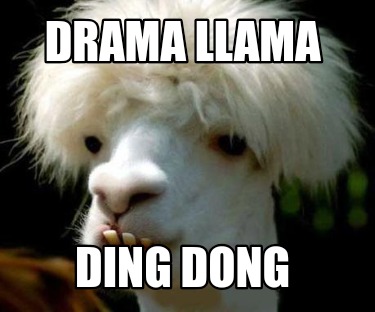 drama-llama-ding-dong0