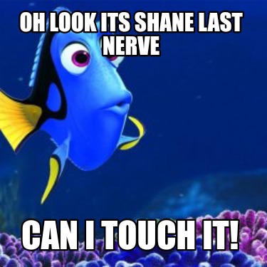 oh-look-its-shane-last-nerve-can-i-touch-it