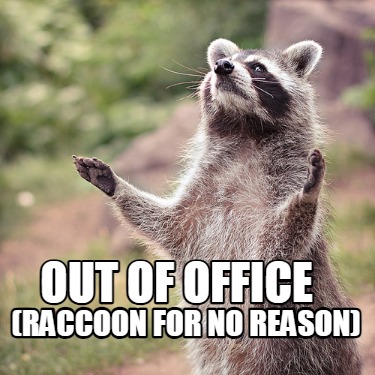 out-of-office-raccoon-for-no-reason