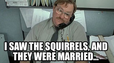 i-saw-the-squirrels-and-they-were-married