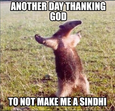 another-day-thanking-god-to-not-make-me-a-sindhi