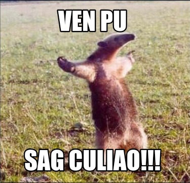 ven-pu-sag-culiao