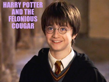 harry-potter-and-the-felonious-cougar