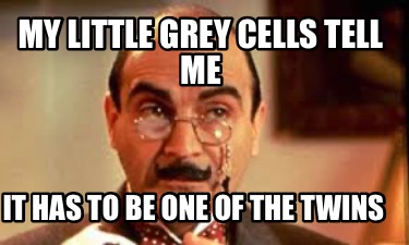 my-little-grey-cells-tell-me-it-has-to-be-one-of-the-twins8