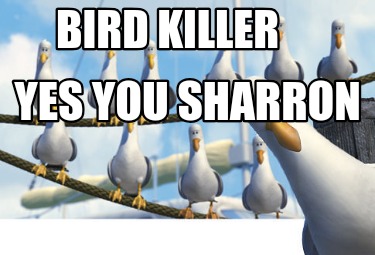 bird-killer-yes-you-sharron