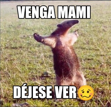 venga-mami-djese-ver