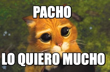 pacho-lo-quiero-mucho