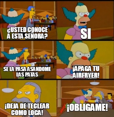 usted-conoce-a-esta-seora-si-se-la-pasa-asandome-las-patas-apaga-tu-airfryer-dej