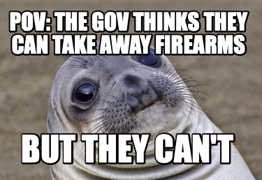 pov-the-gov-thinks-they-can-take-away-firearms-but-they-cant