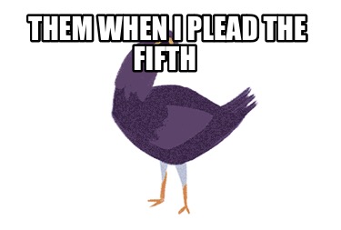 them-when-i-plead-the-fifth