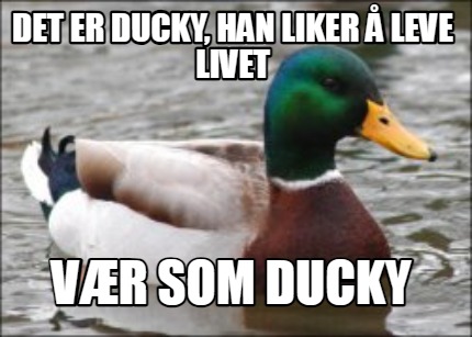 det-er-ducky-han-liker-leve-livet-vr-som-ducky