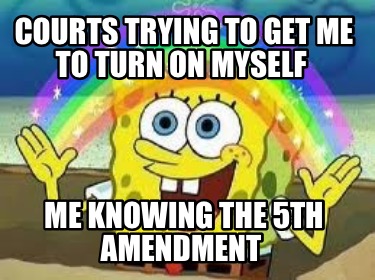 courts-trying-to-get-me-to-turn-on-myself-me-knowing-the-5th-amendment