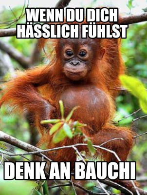 wenn-du-dich-hsslich-fhlst-denk-an-bauchi