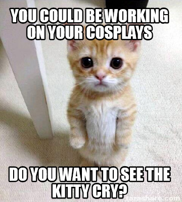 you-could-be-working-on-your-cosplays-do-you-want-to-see-the-kitty-cry