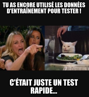 tu-as-encore-utilis-les-donnes-dentranement-pour-tester-ctait-juste-un-test-rapi