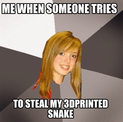 me-when-someone-tries-to-steal-my-3dprinted-snake