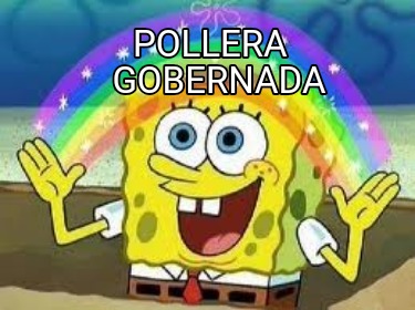 pollera-gobernada