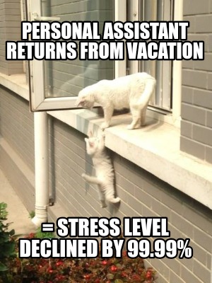 personal-assistant-returns-from-vacation-stress-level-declined-by-99.99