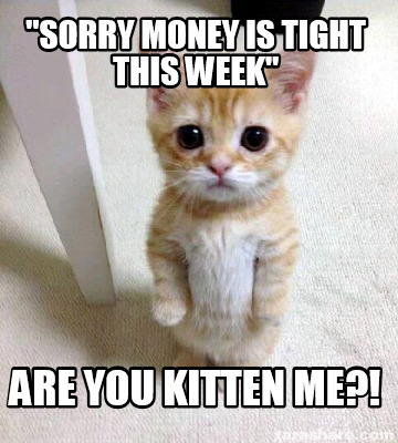 sorry-money-is-tight-this-week-are-you-kitten-me