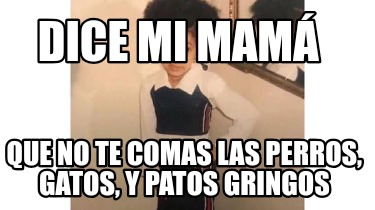 dice-mi-mam-que-no-te-comas-las-perros-gatos-y-patos-gringos