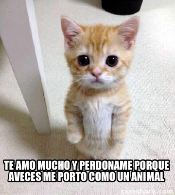 te-amo-mucho-y-perdoname-porque-aveces-me-porto-como-un-animal