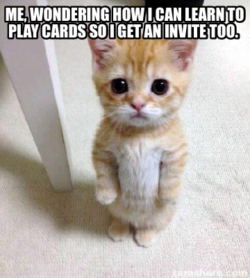 me-wondering-how-i-can-learn-to-play-cards-so-i-get-an-invite-too