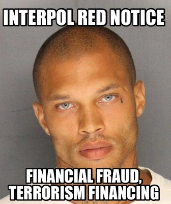 interpol-red-notice-financial-fraud-terrorism-financing