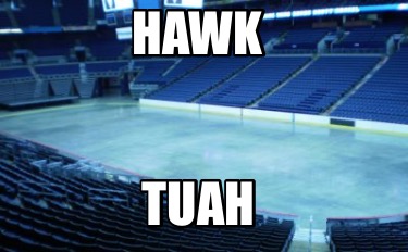 hawk-tuah7