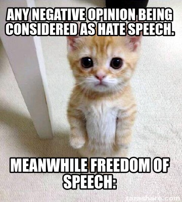 any-negative-opinion-being-considered-as-hate-speech.-meanwhile-freedom-of-speec