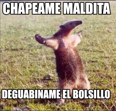 chapeame-maldita-deguabiname-el-bolsillo