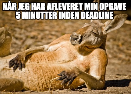 nr-jeg-har-afleveret-min-opgave-5-minutter-inden-deadline