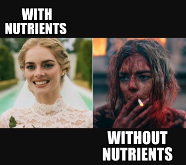 with-nutrients-without-nutrients