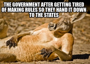 the-government-after-getting-tired-of-making-rules-so-they-hand-it-down-to-the-s