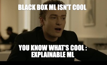 black-box-ml-isnt-cool-you-know-whats-cool-explainable-ml