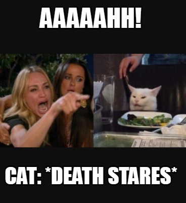 aaaaahh-cat-death-stares