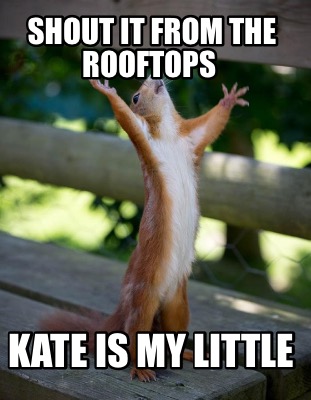 shout-it-from-the-rooftops-kate-is-my-little