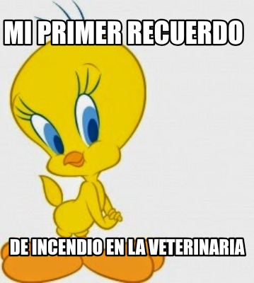 mi-primer-recuerdo-de-incendio-en-la-veterinaria