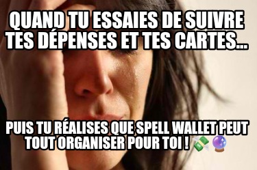 quand-tu-essaies-de-suivre-tes-dpenses-et-tes-cartes...-puis-tu-ralises-que-spel