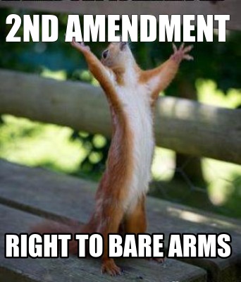 2nd-amendment-right-to-bare-arms