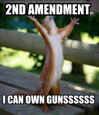 2nd-amendment-i-can-own-gunssssss