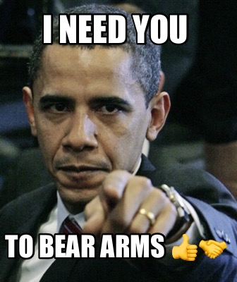 i-need-you-to-bear-arms-